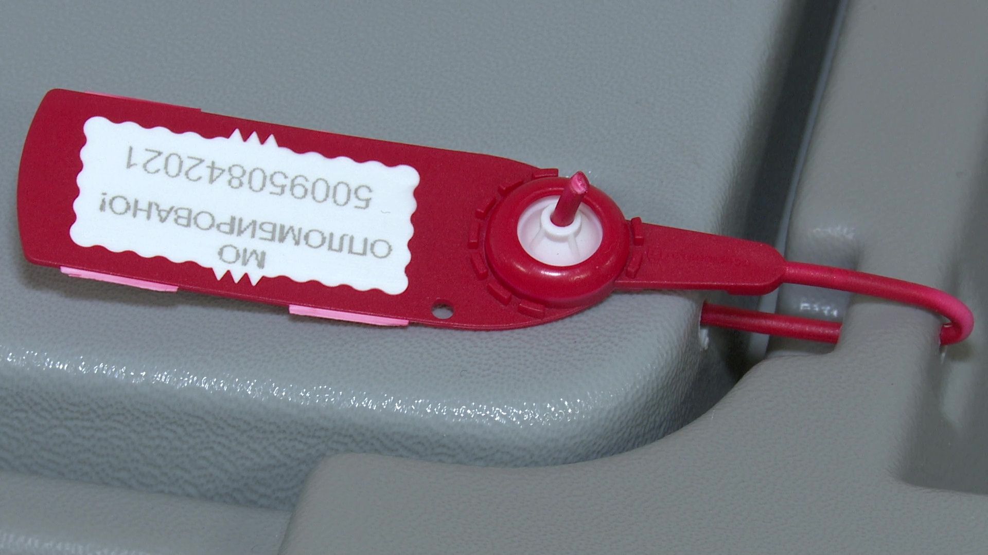 Реутов, выборы, депутаты, голосование, безопасность,