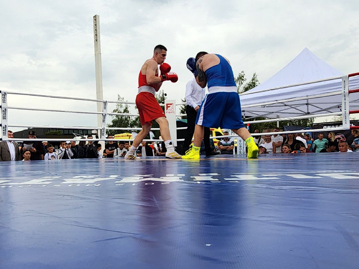 бокс в бронницах, спорт в подмосковье, спортивное мероприятие, мытищи,