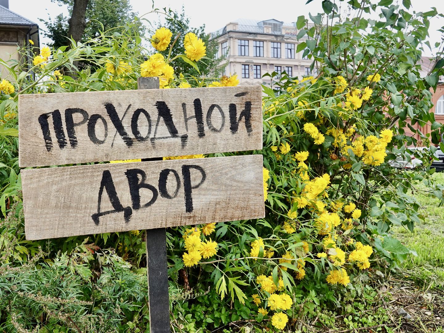 Сергиев Посад, Дом художника, Искусство, Художники, Выставка, Сувениры,