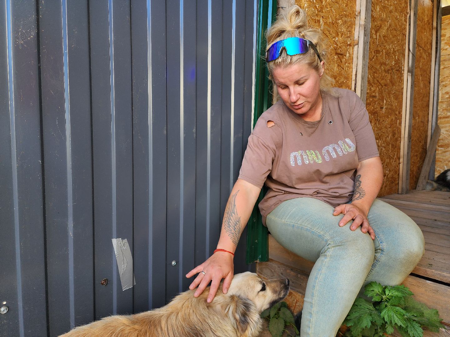 раменское, общество, приют для животных, путь домой бронницы, собачки из курской области,