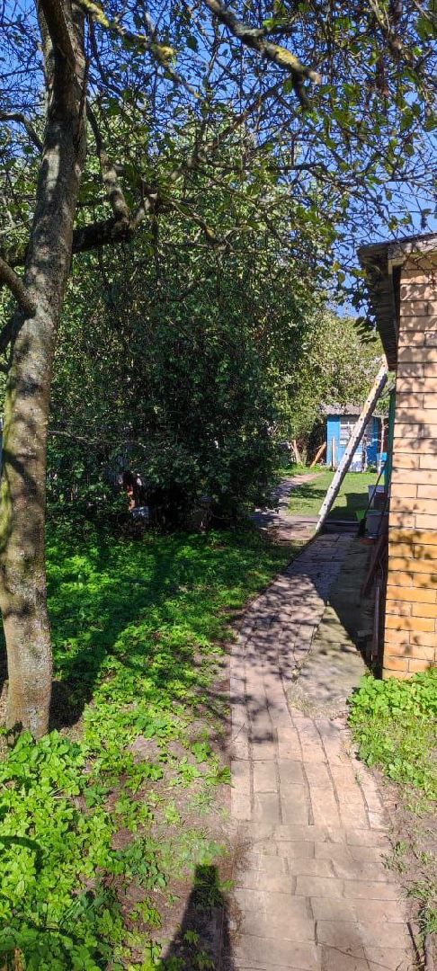 село Кудиново, деревня тимохово, богородский городской округ, выездная администрация, власть, общество, жители, водоснабжение,