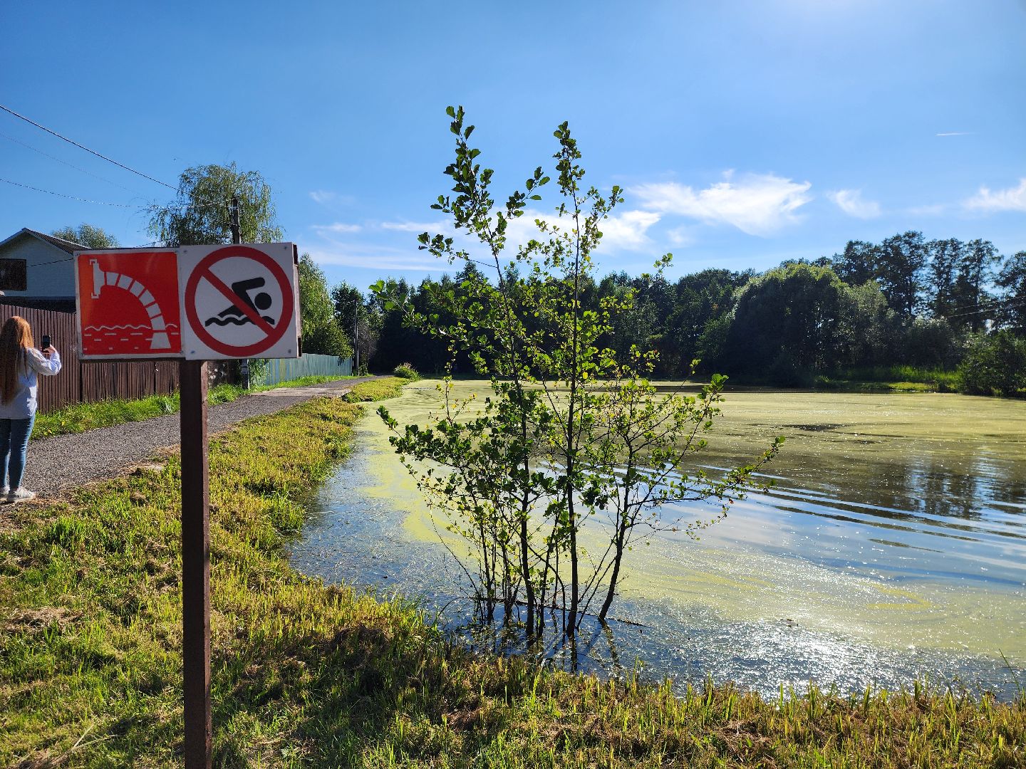 богородский городской округ, жители, общество, снт милиоратор, село кудиново,