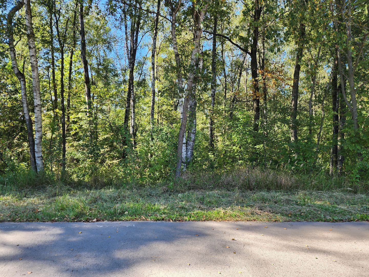 Деревня Тимохово, Жители, Общество, Дороги, Власть,