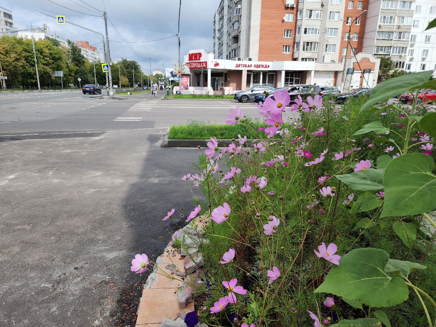ремонт дорог, орехово зуево,