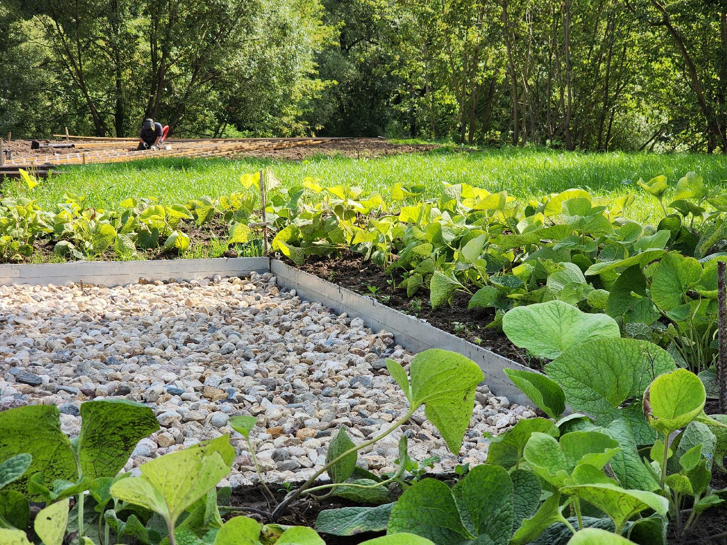 Подольск, Певческое поле, Дубровицы, знаменская церковь, благоустройство 2024, формирование комфортной городской среды,