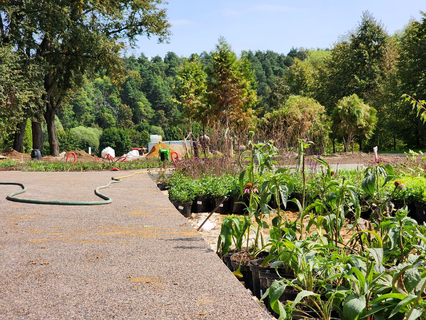 Подольск, Певческое поле, Дубровицы, знаменская церковь, благоустройство 2024, формирование комфортной городской среды,