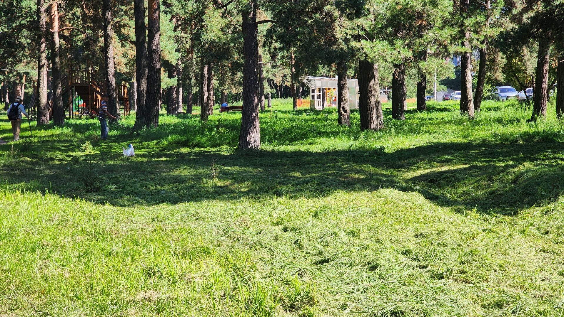покос территории, благоустройство, противопожарная безопасность,
