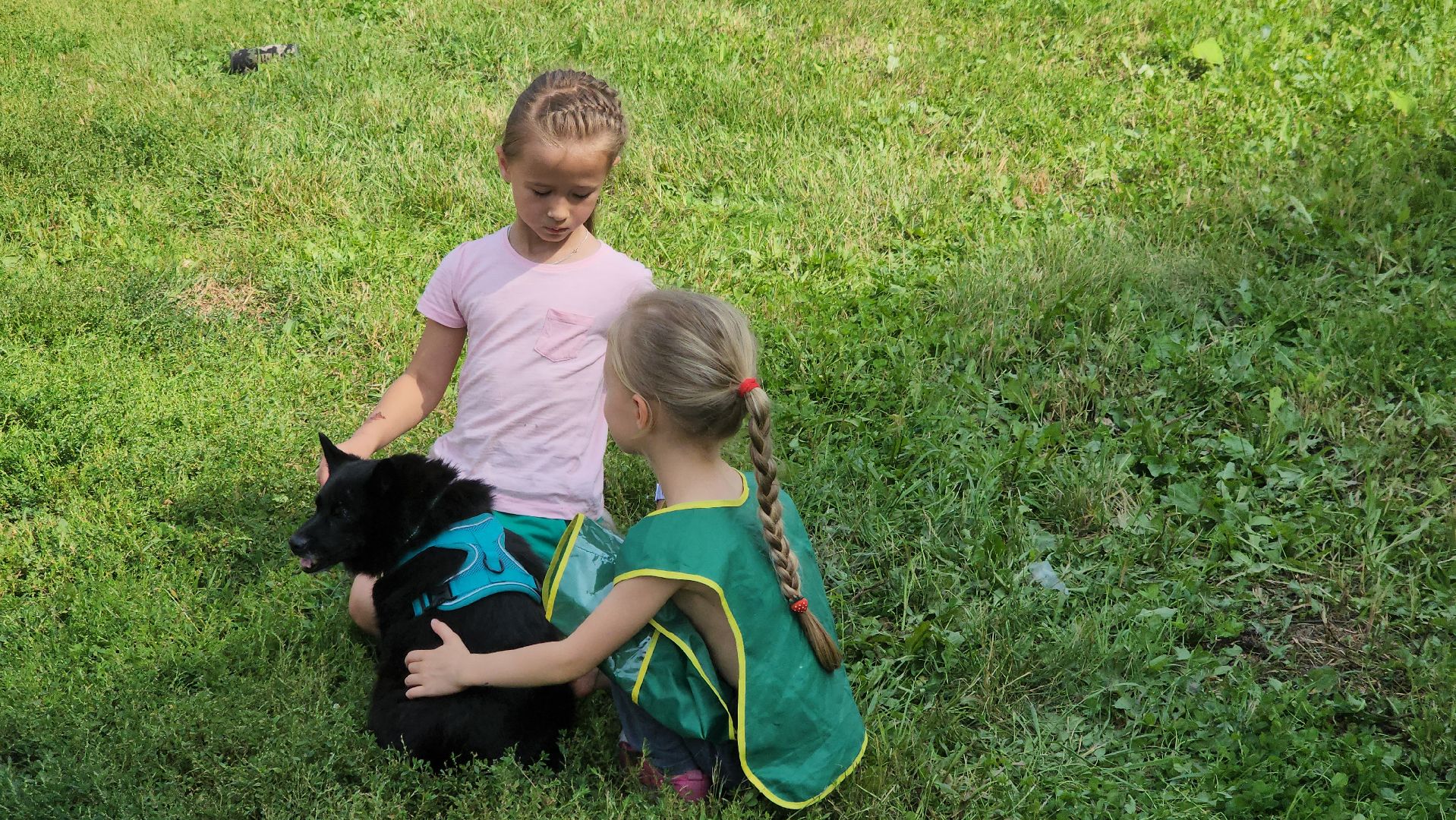 долгопрудный, рсо, новые водники, переработка,