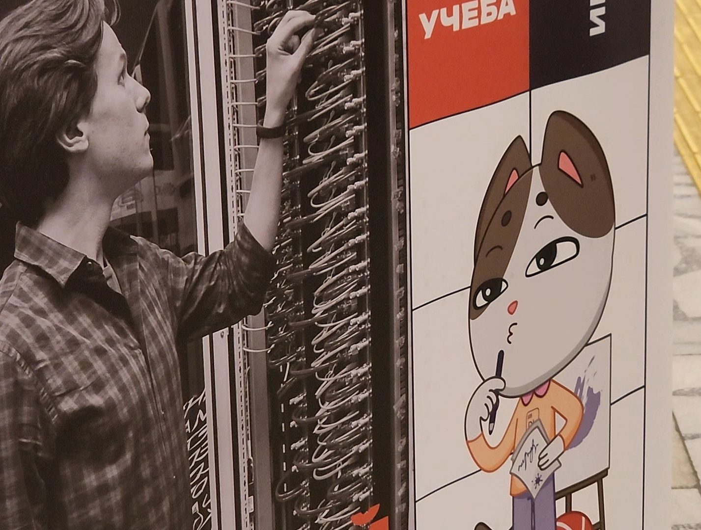 Дубна, Университет дубна, Дополнительная волна набора, Абитуриенты, студенты,