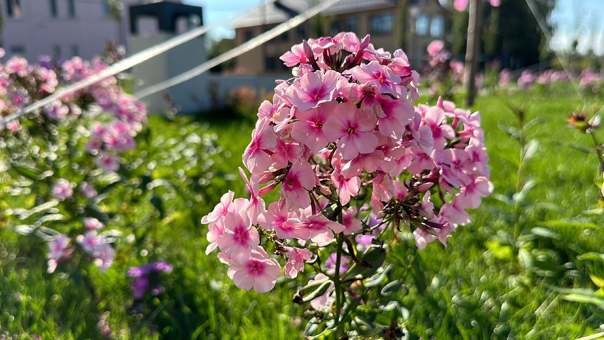Клин, общество, Подмосковье, благоустройство, скверы,