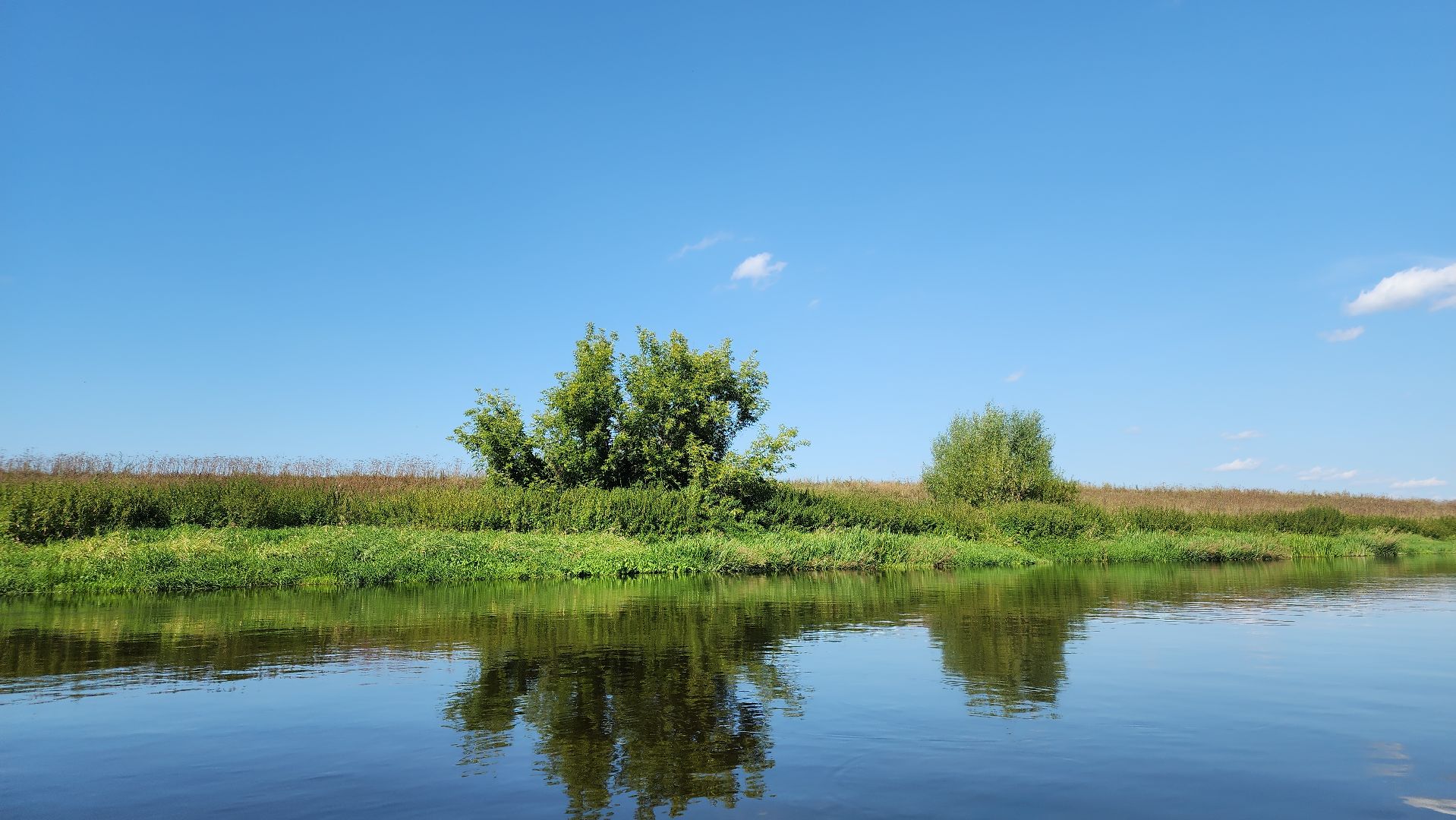 Звенигород, Туризм, благотворительная акция,