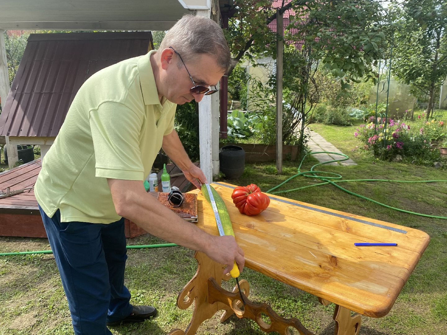рекорд, огурец-гигант, Домодедово, Подмосковье, Рекордный урожай,