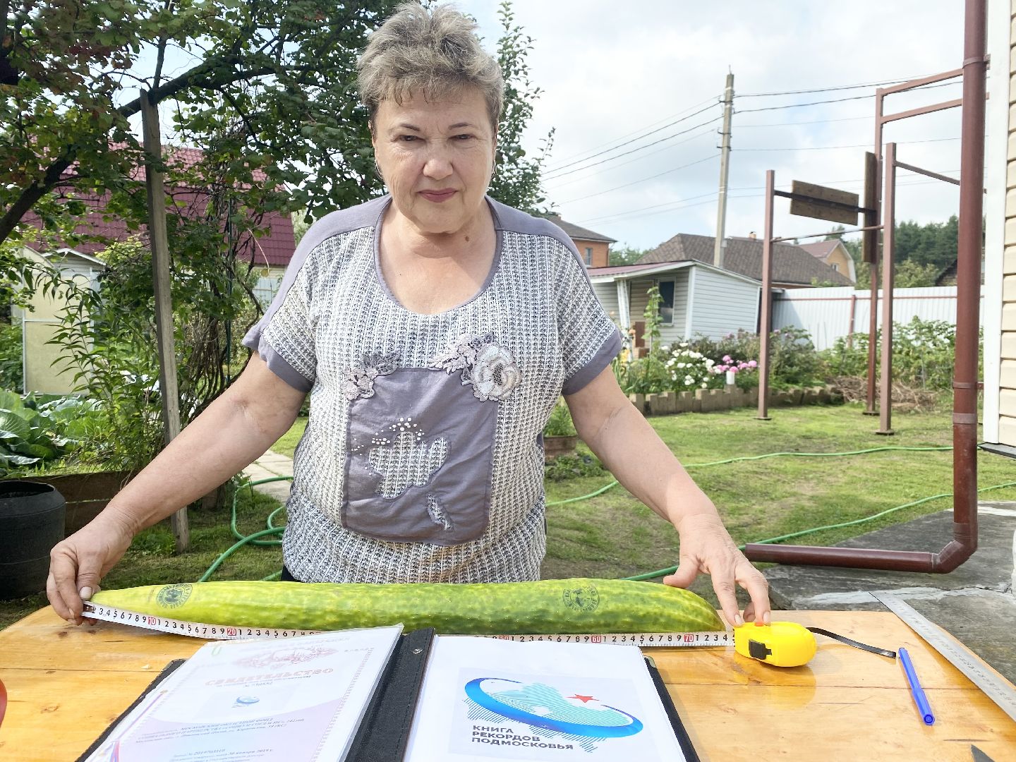 рекорд, огурец-гигант, Домодедово, Подмосковье, Рекордный урожай,