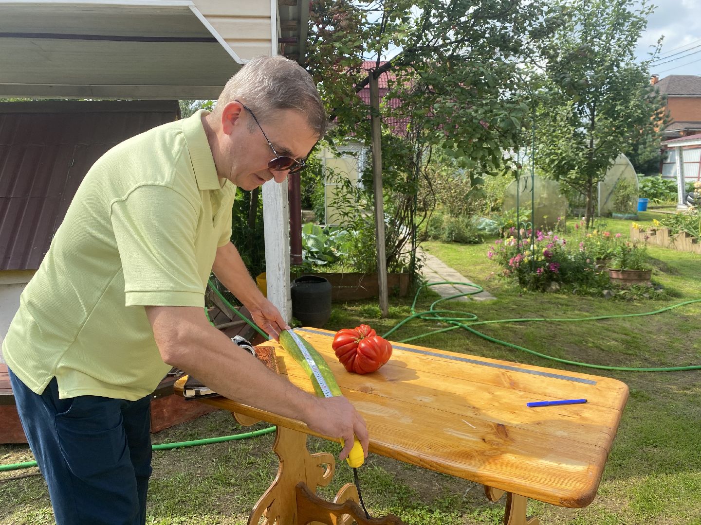 рекорд, огурец-гигант, Домодедово, Подмосковье, Рекордный урожай,