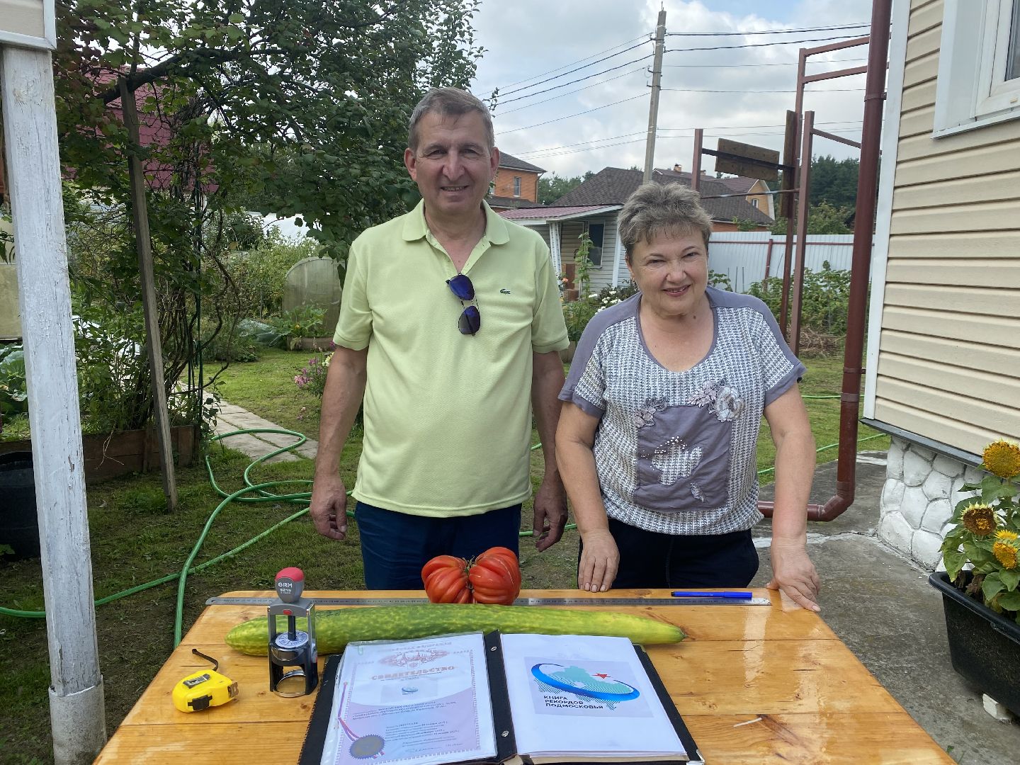 рекорд, огурец-гигант, Домодедово, Подмосковье, Рекордный урожай,