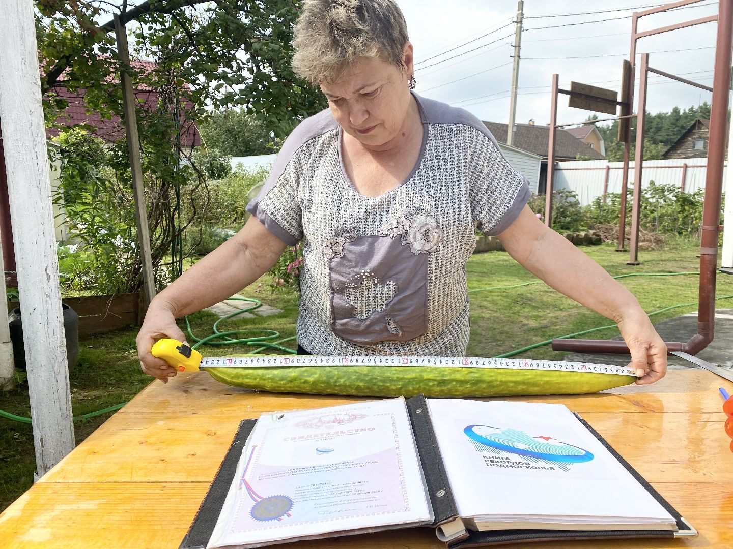 рекорд, огурец-гигант, Домодедово, Подмосковье, Рекордный урожай,