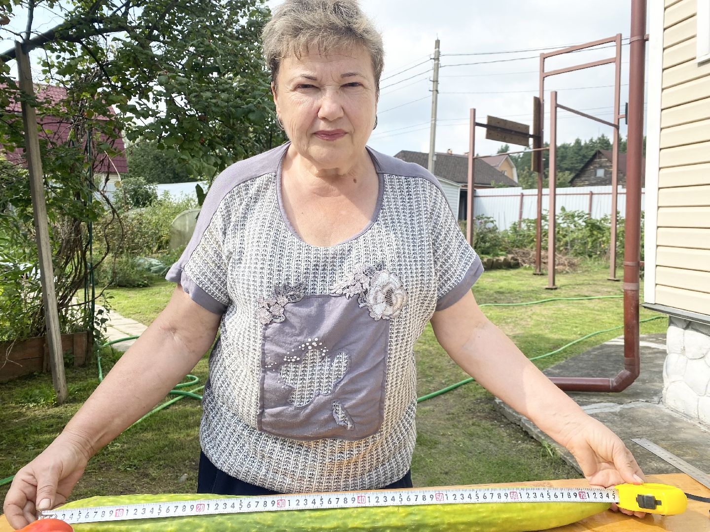 рекорд, огурец-гигант, Домодедово, Подмосковье, Рекордный урожай,