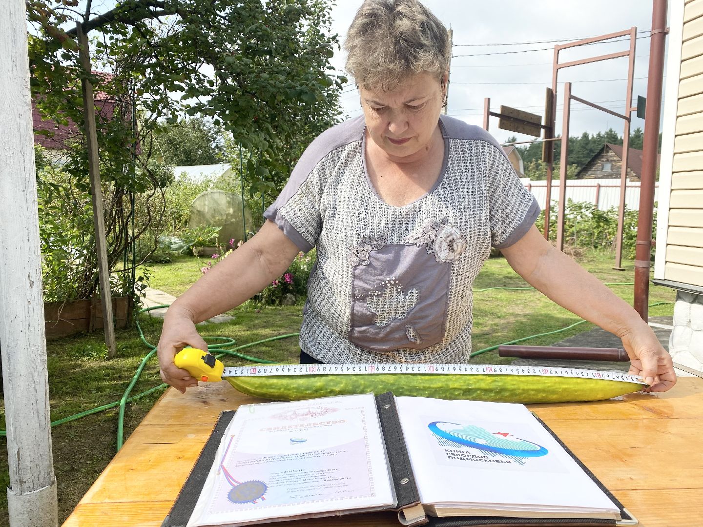 рекорд, огурец-гигант, Домодедово, Подмосковье, Рекордный урожай,