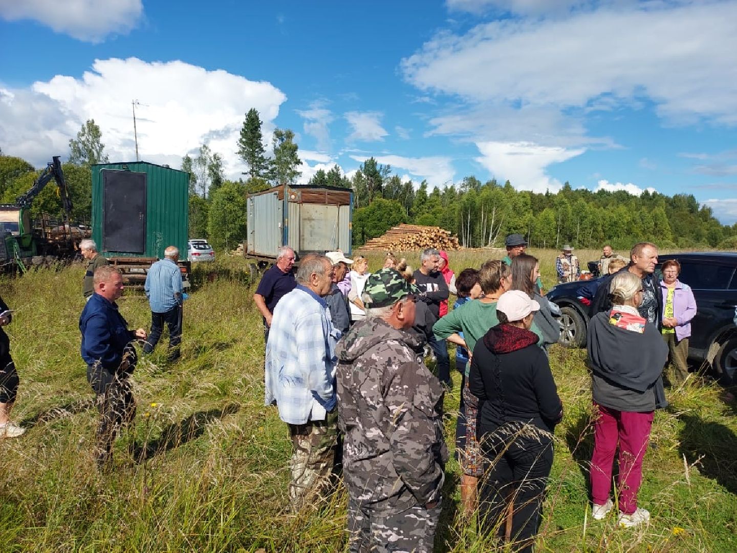 экология, вырубка леса, руза, ильятино, Экология Рузы, рузский городской округ, московская область, подмосковье,