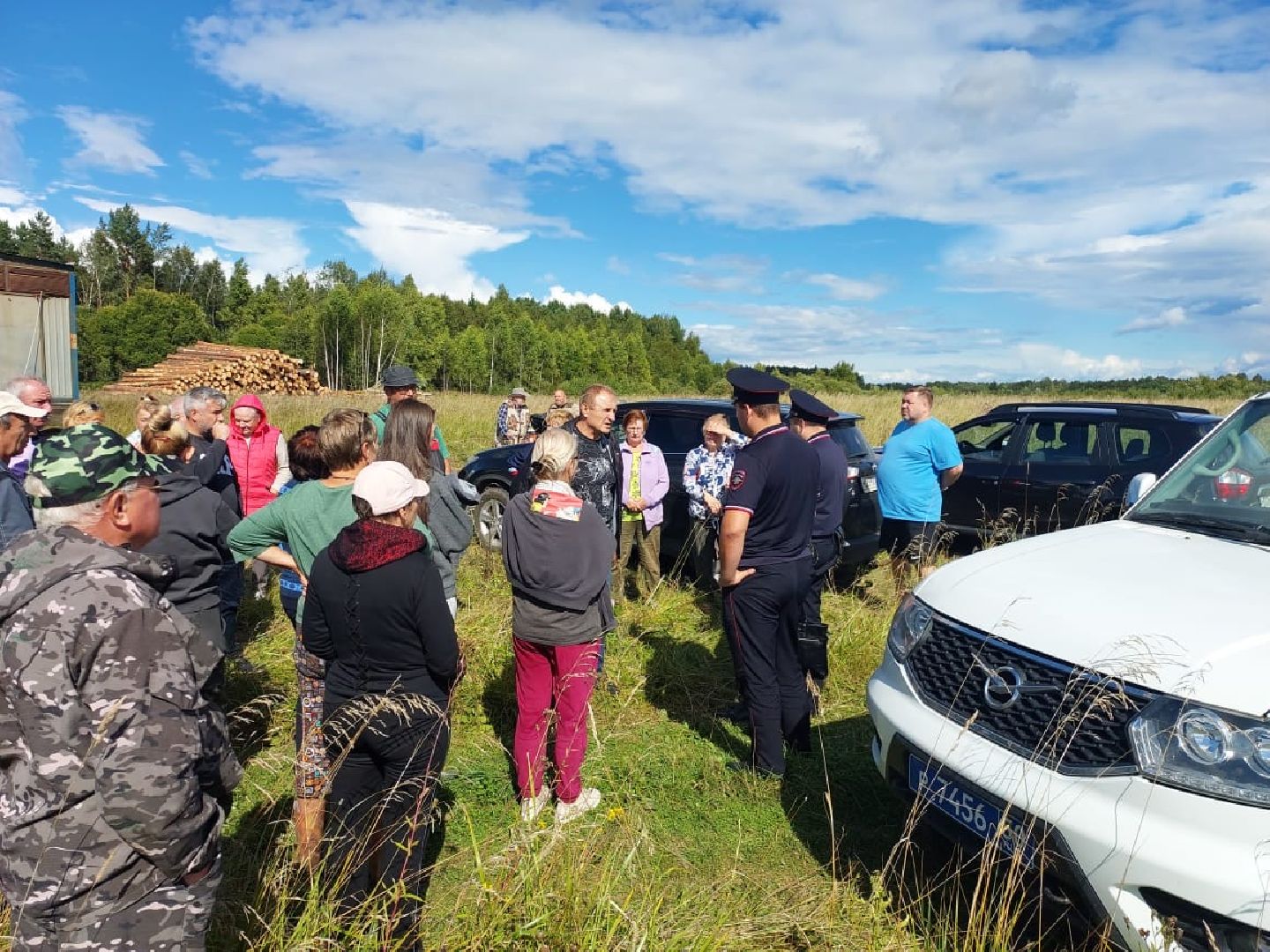 экология, вырубка леса, руза, ильятино, Экология Рузы, рузский городской округ, московская область, подмосковье,