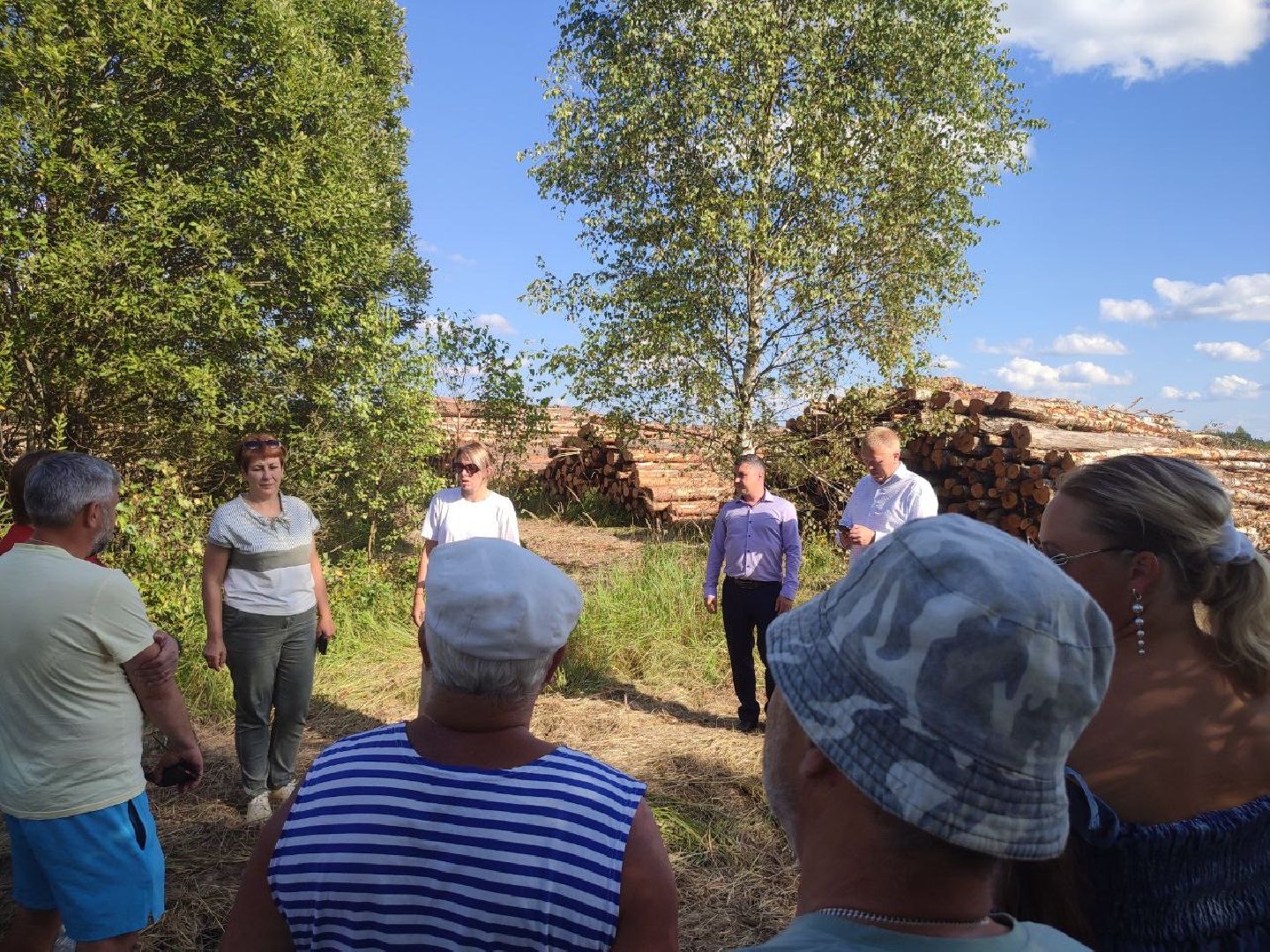 экология, вырубка леса, руза, ильятино, Экология Рузы, рузский городской округ, московская область, подмосковье,