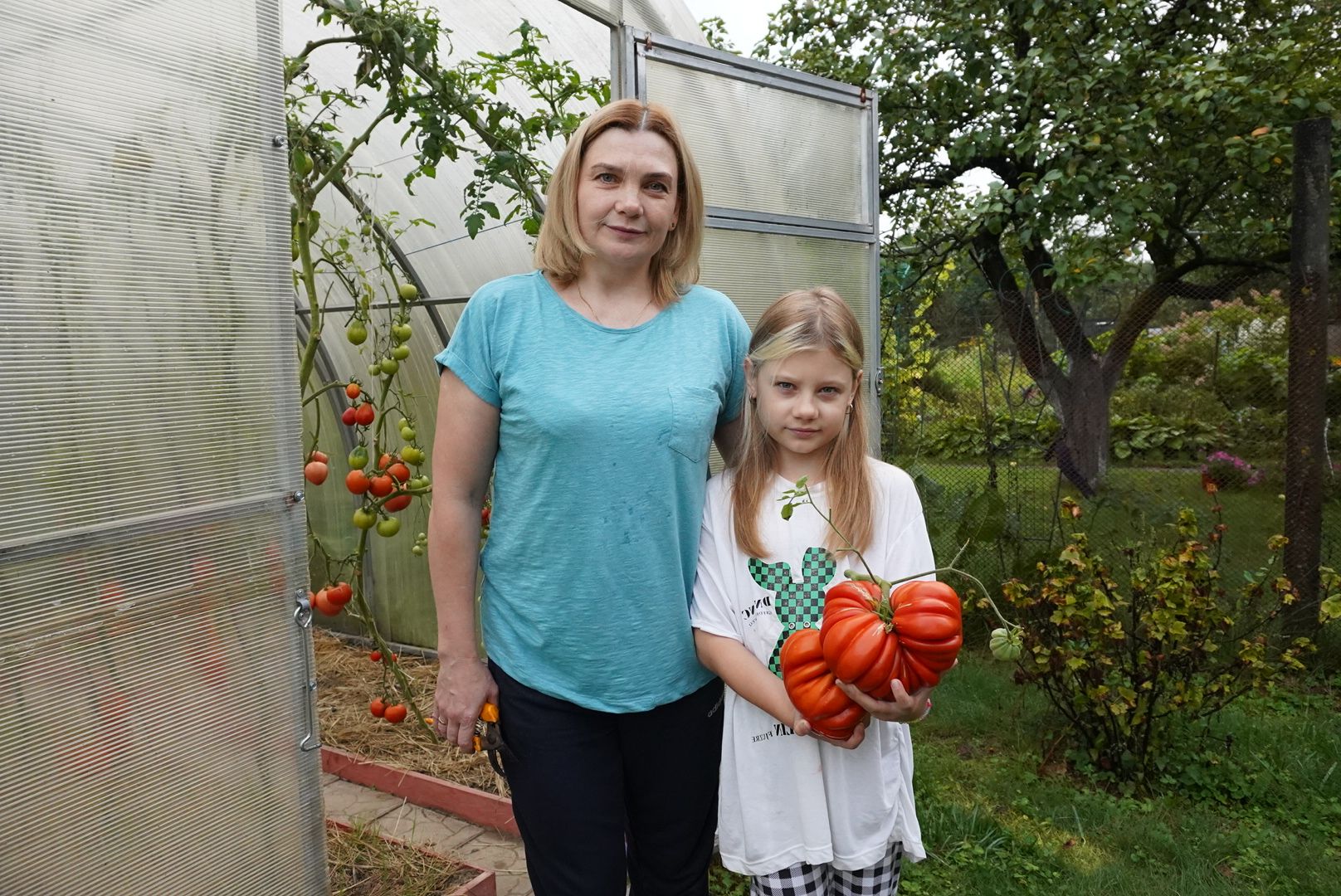 Павловский Посад, Городской округ Павловский Посад, Помидор, Рекорд, Хозяйство, Люди,Чебурашка, день рождения Чебурашки, Успенский,