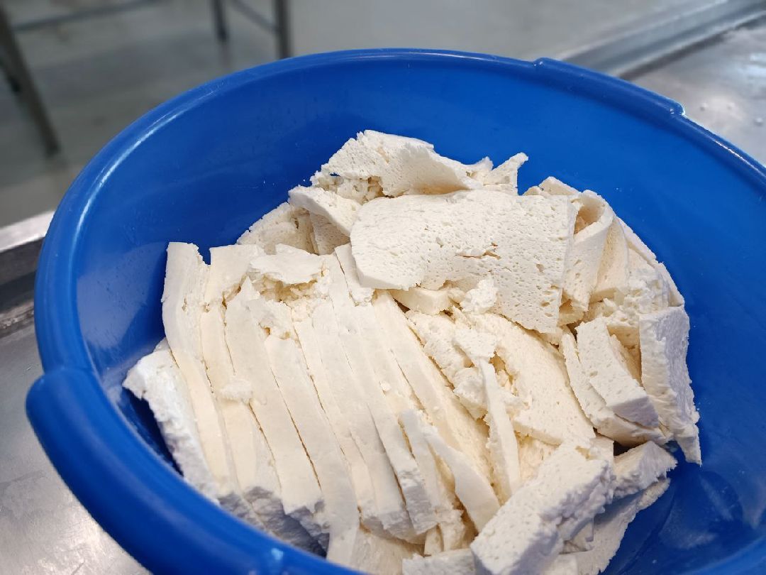 Можайск, общество