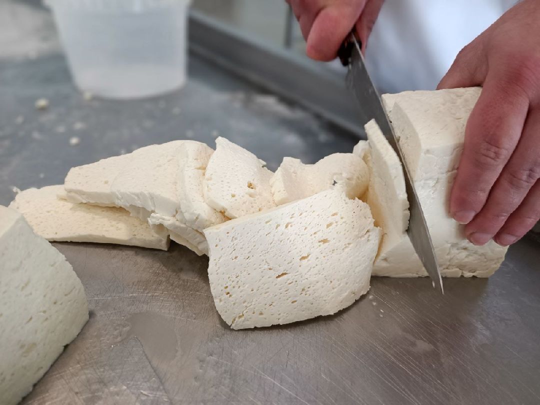 Можайск, общество