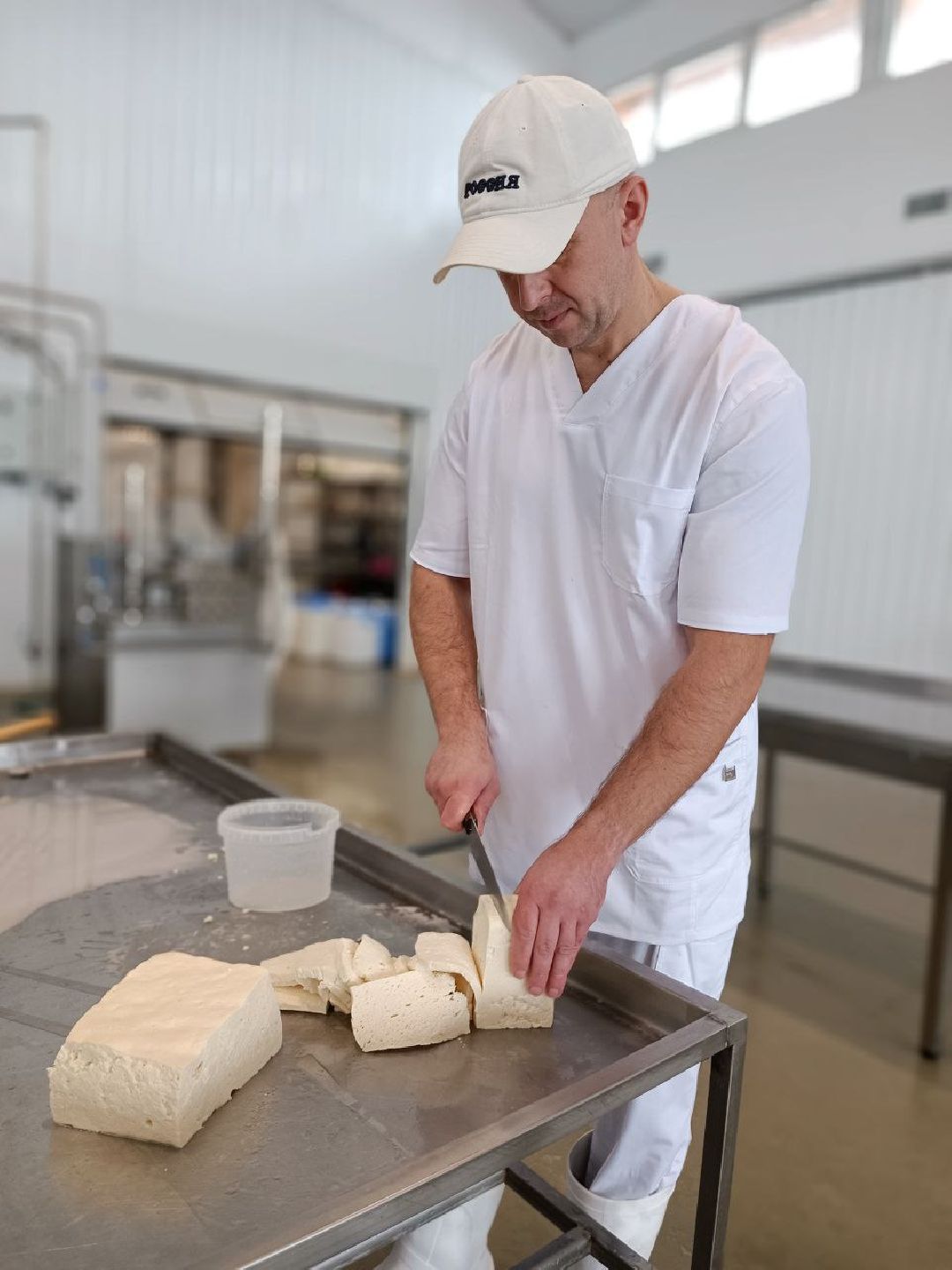 Можайск, общество