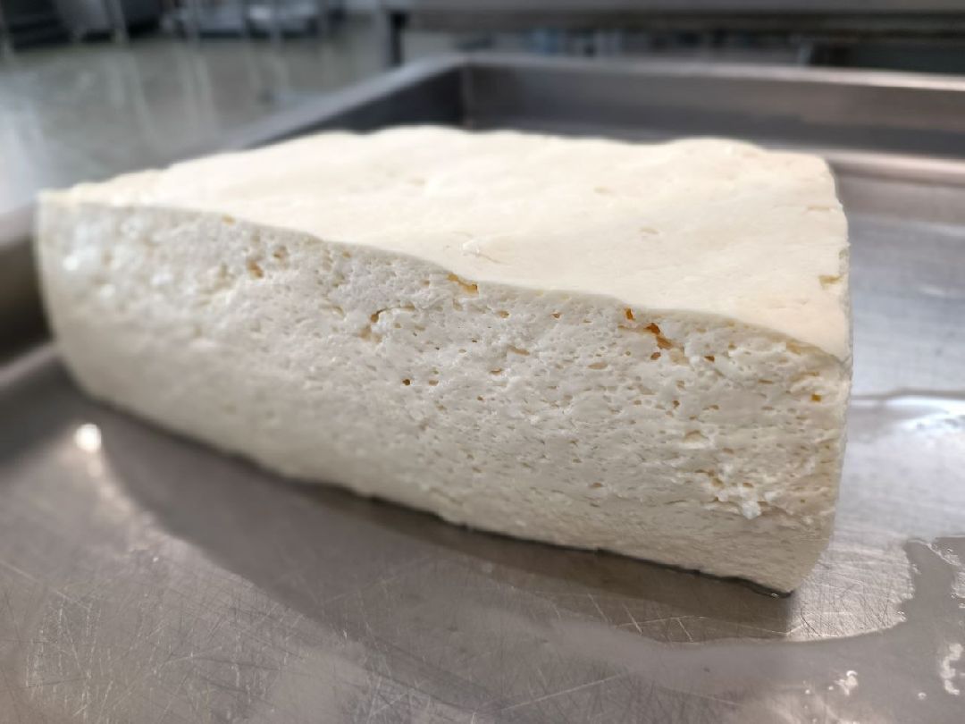 Можайск, общество