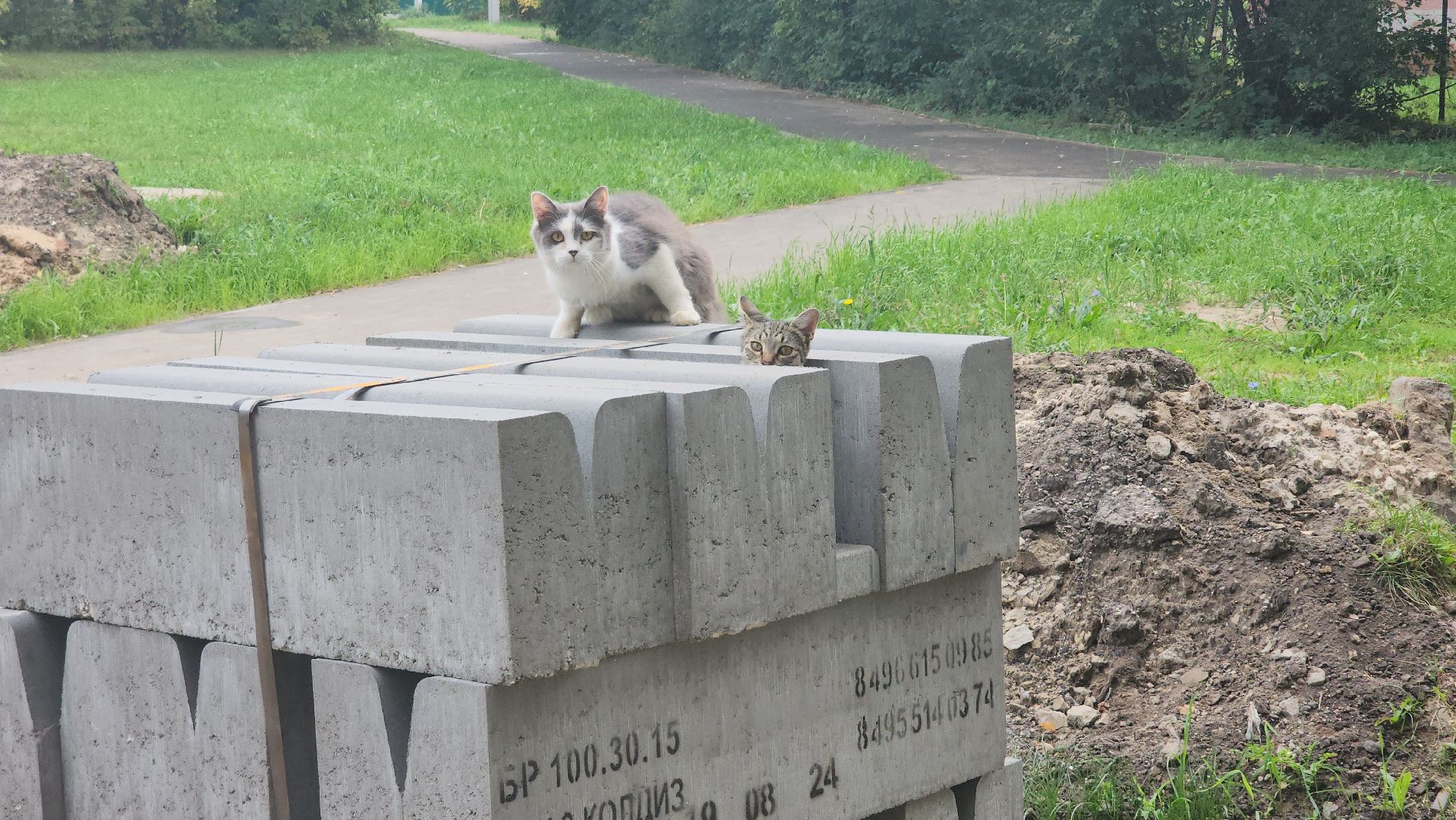 егорьевск, благоустройство, парковка, проезд, двор, двор асфальт,