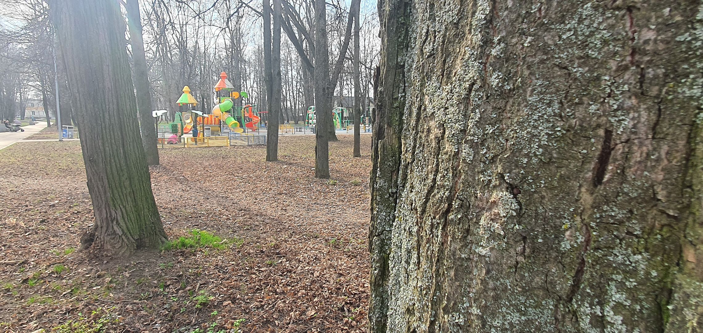 Парки Подмосковья, весенние перемены, Домодедово