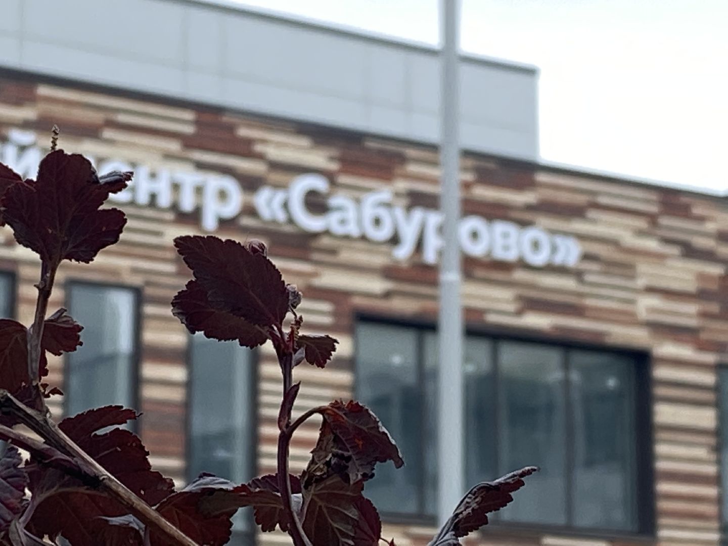 сабурово, красногорск, образование в подмосковье, школа, детский сад,