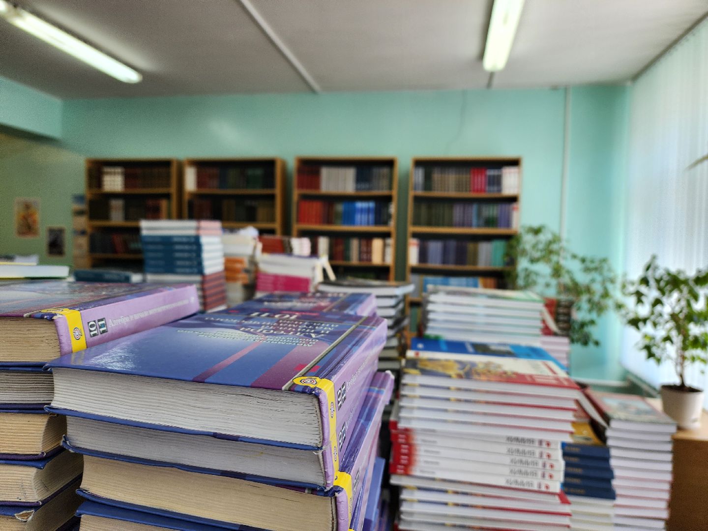 воскресенск, школы, учебники, дети, образование,