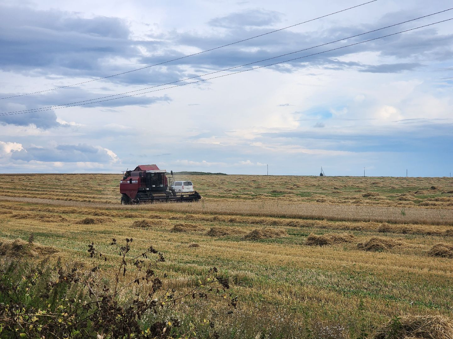 Зарайск, сельское хозяйство, уборочная кампания,