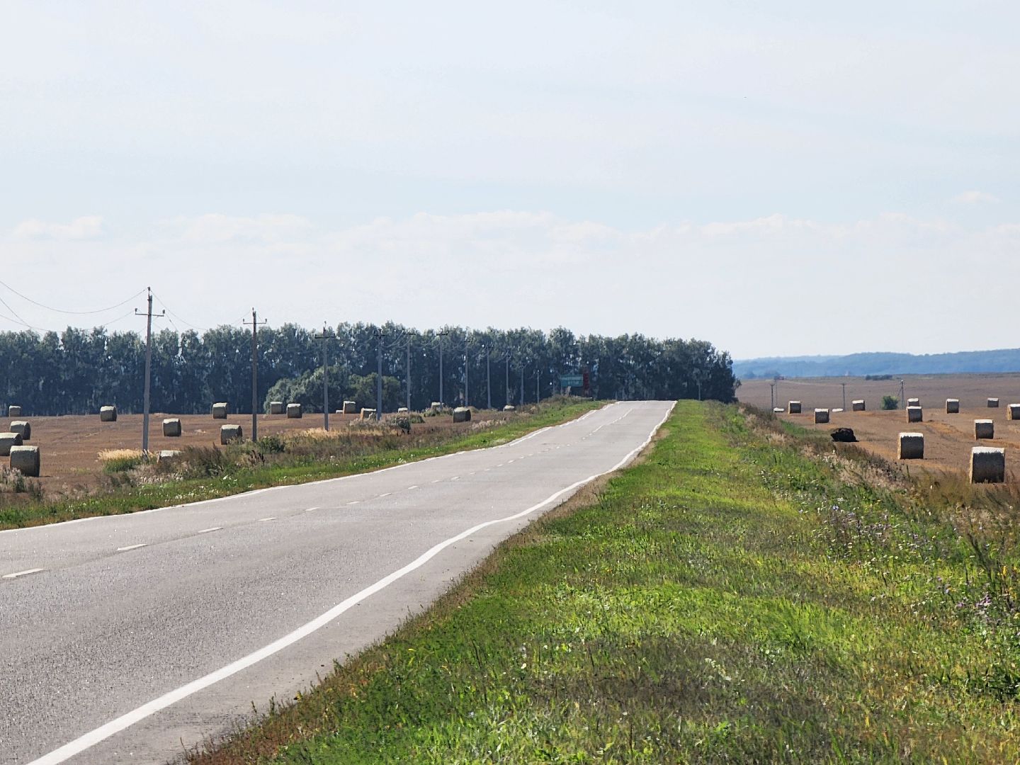 Зарайск, сельское хозяйство, уборочная кампания,