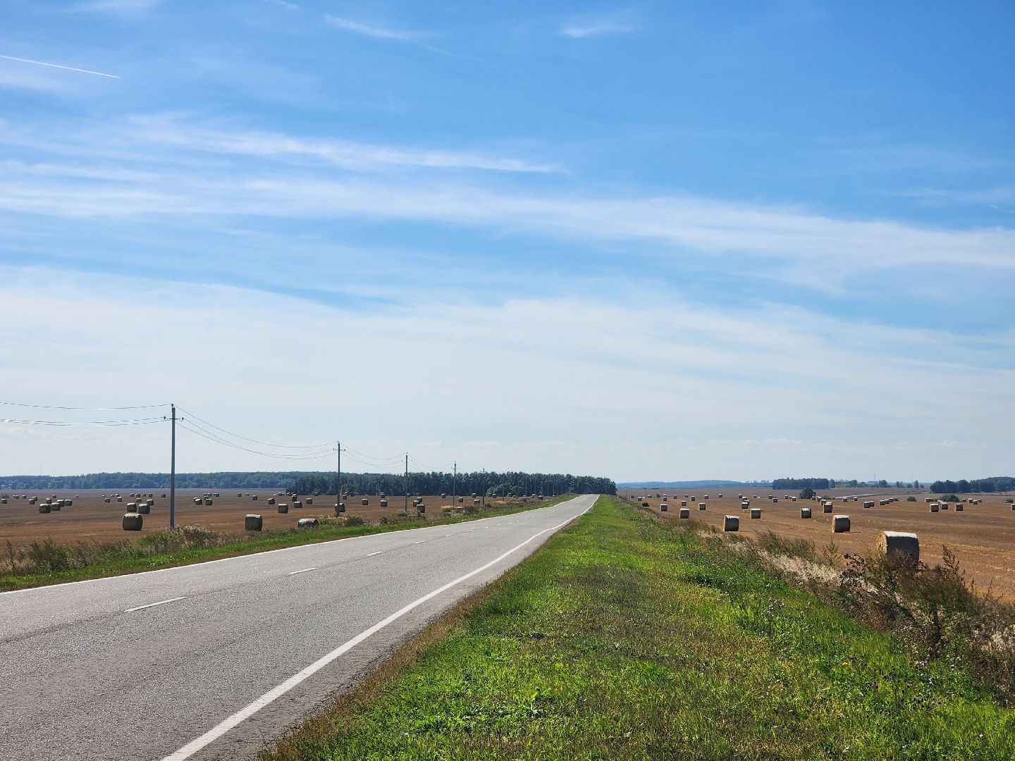 Зарайск, сельское хозяйство, уборочная кампания,
