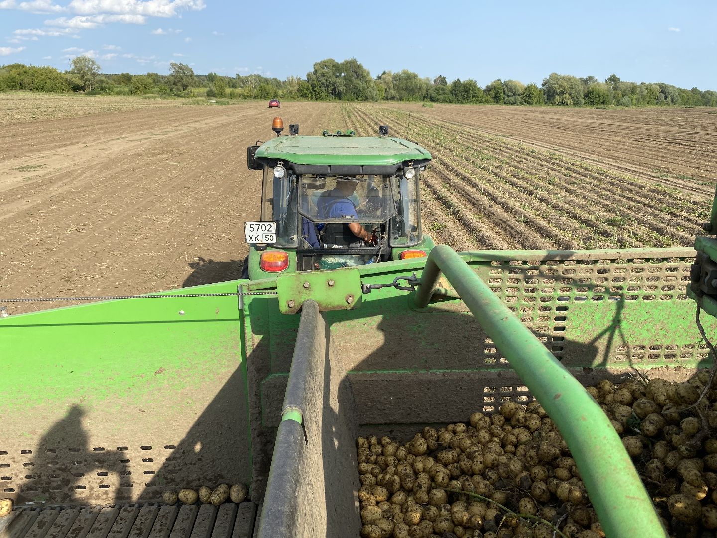 Коломна, Сельское хозяйство, уборочная кампания, картофель,