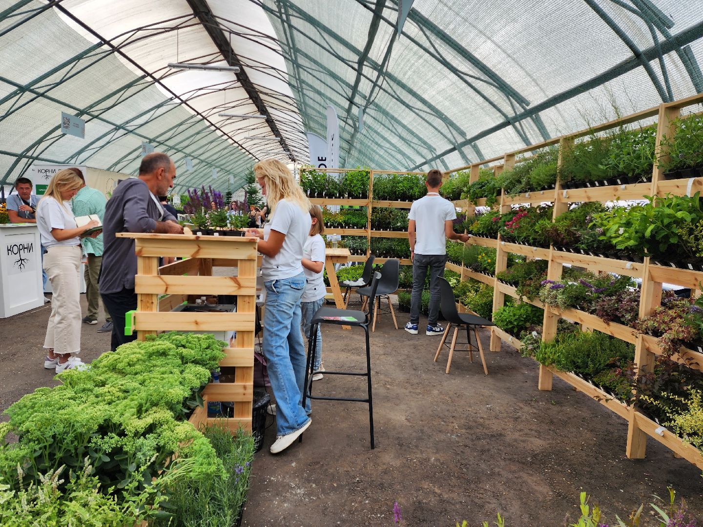 раменское, экономика, сельское хозяйство, Первая международная выставка Ассоциации производителей посадочного материала,
