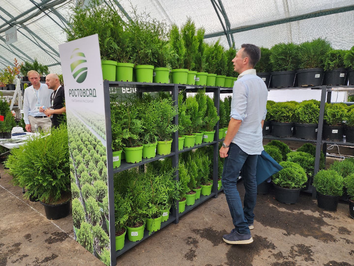 раменское, экономика, сельское хозяйство, Первая международная выставка Ассоциации производителей посадочного материала,