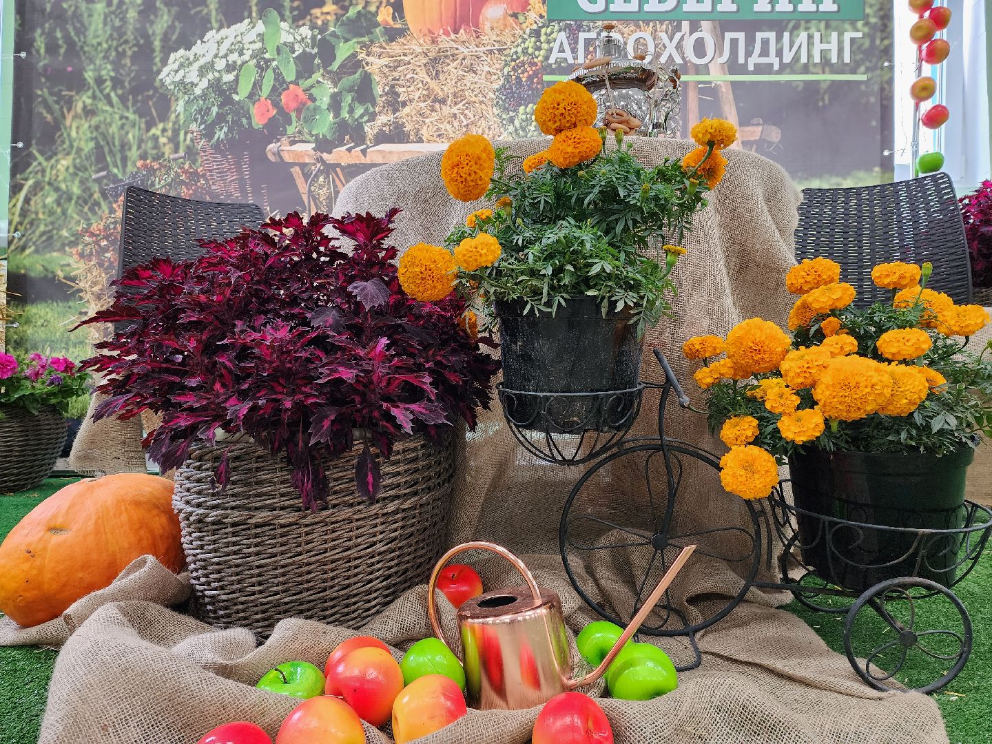 раменское, экономика, сельское хозяйство, Первая международная выставка Ассоциации производителей посадочного материала,