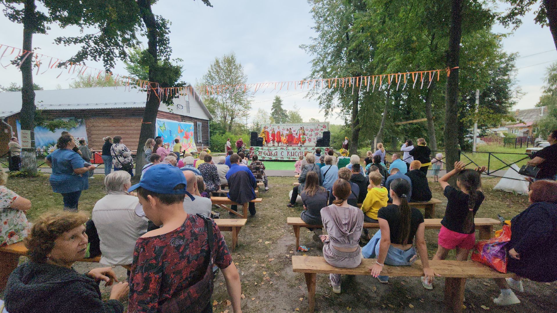 культура, егорьевск, ягодка, кислинка,