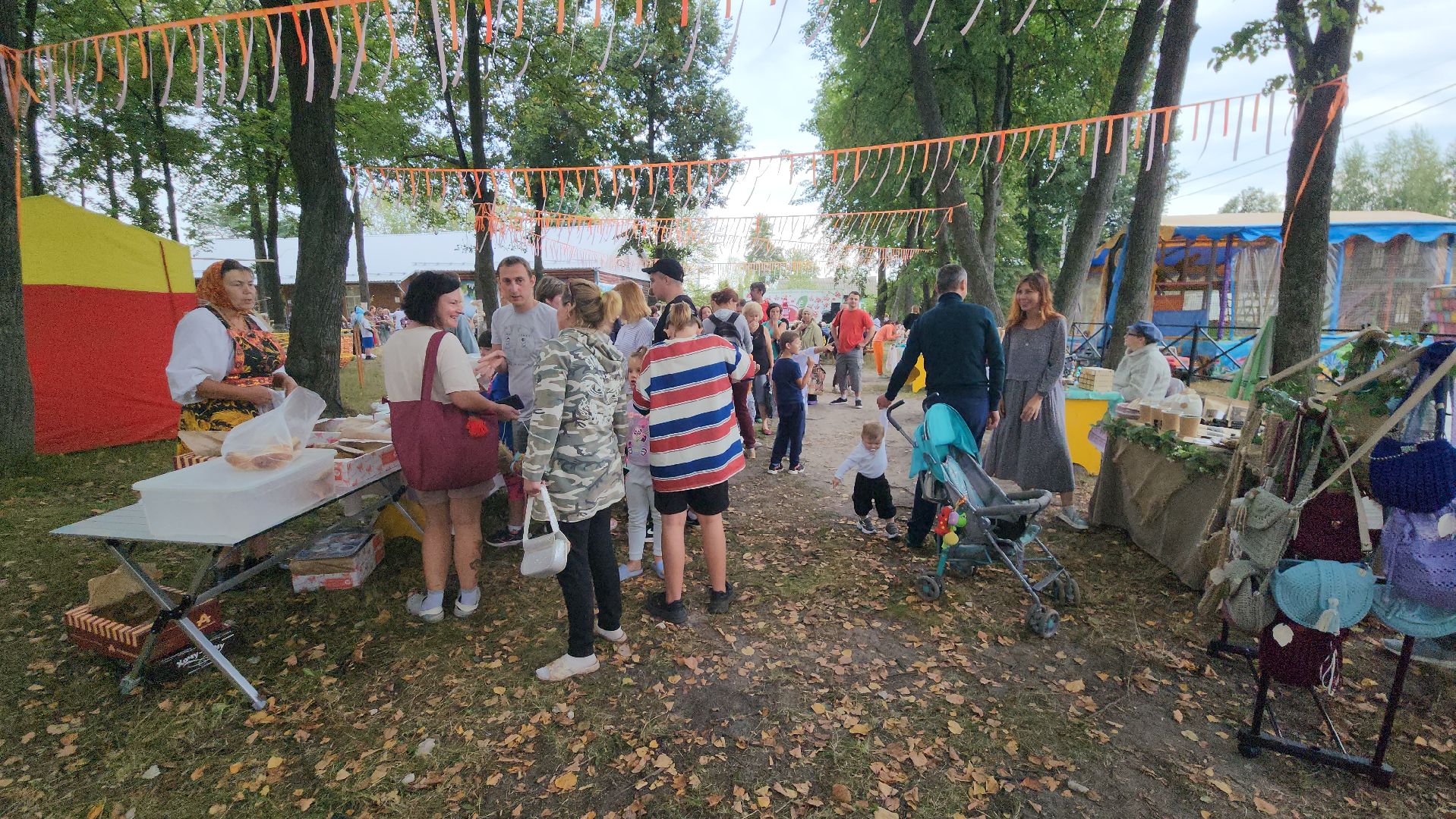 культура, егорьевск, ягодка, кислинка,