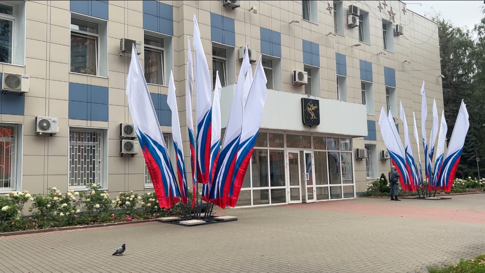 химки, благоустройство, день города, украшение города,