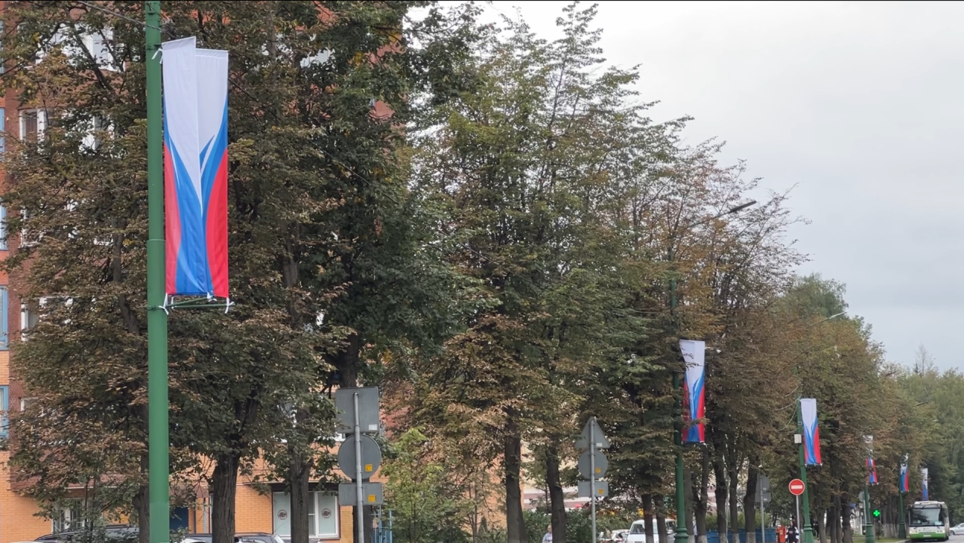 химки, благоустройство, день города, украшение города,