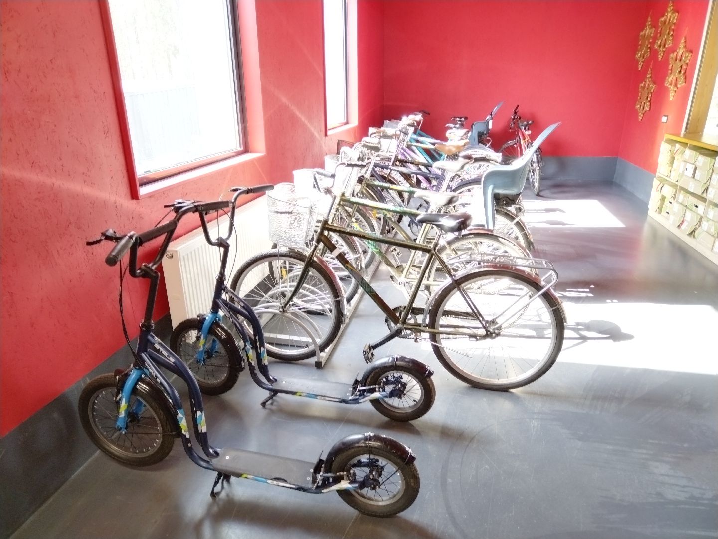 Парки, Мытищи, Лесопарк, прокат, велосезон, велопрокат