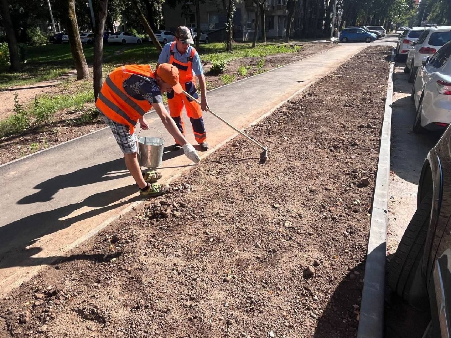 пушкино, газон, благоустройство, комплексное благоустройство, трава, коммунальная служба,