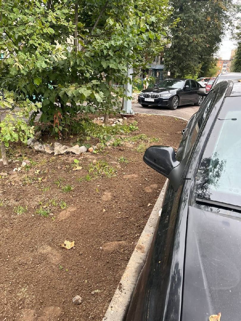 пушкино, газон, благоустройство, комплексное благоустройство, трава, коммунальная служба,