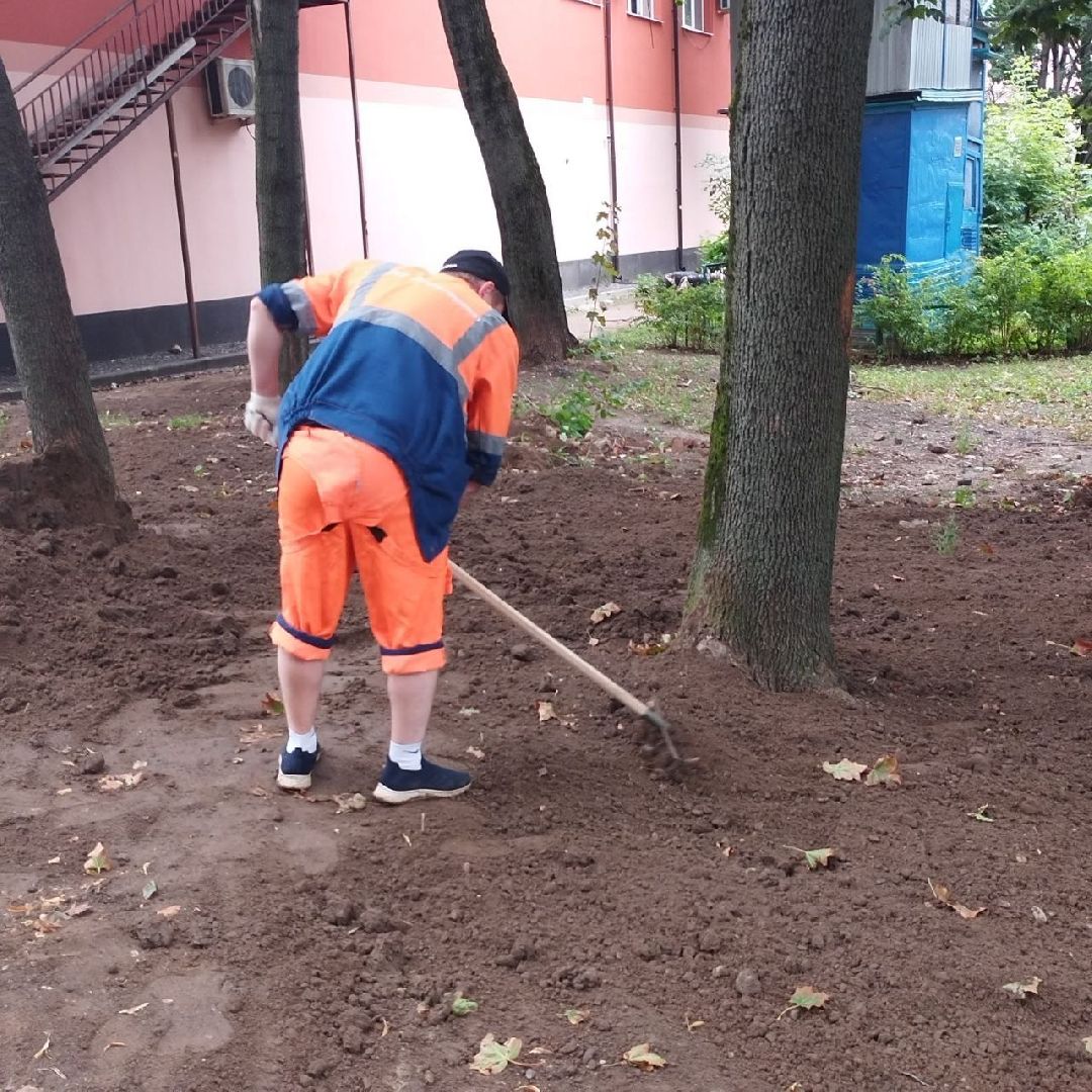 пушкино, газон, благоустройство, комплексное благоустройство, трава, коммунальная служба,