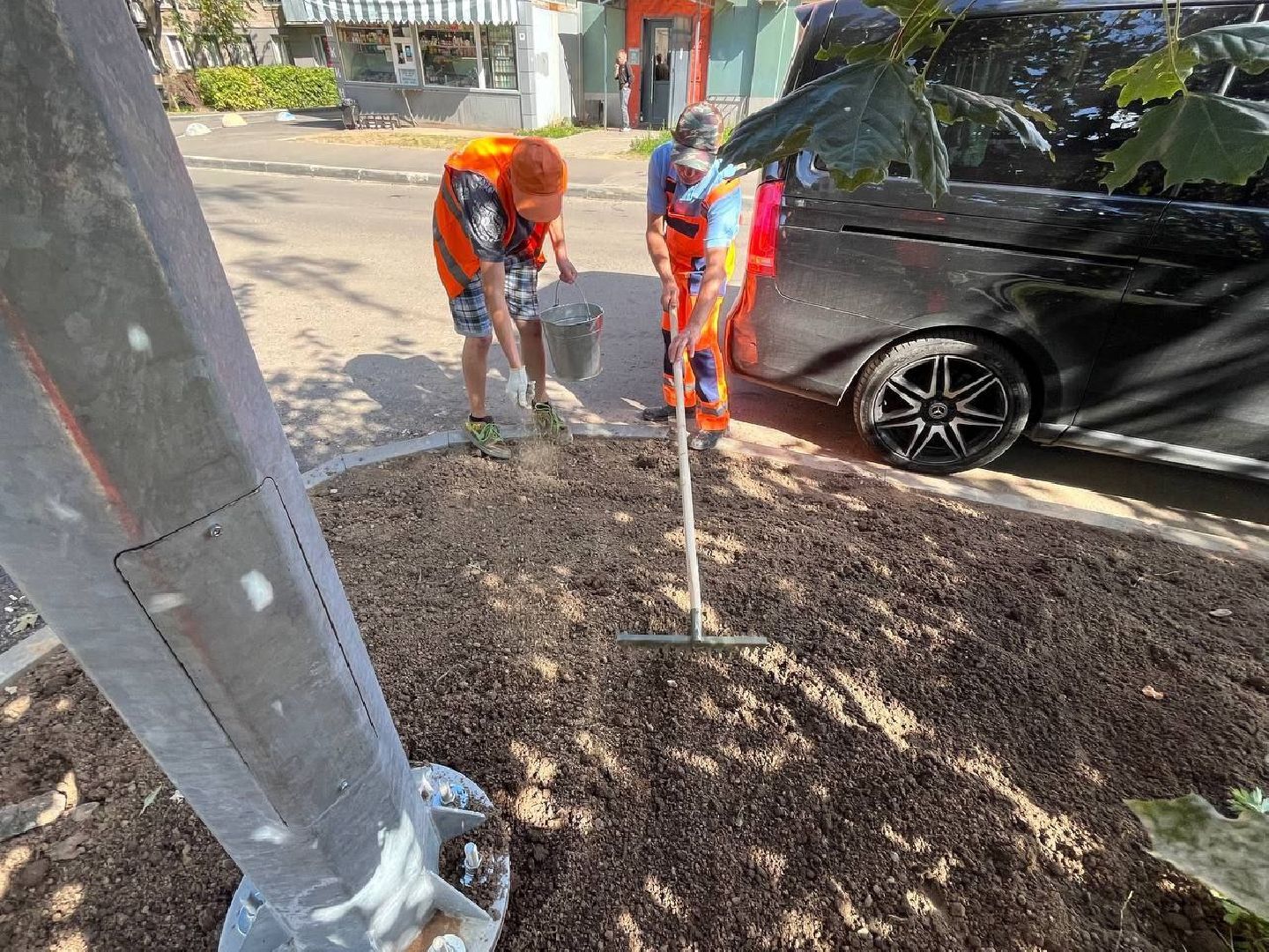 пушкино, газон, благоустройство, комплексное благоустройство, трава, коммунальная служба,